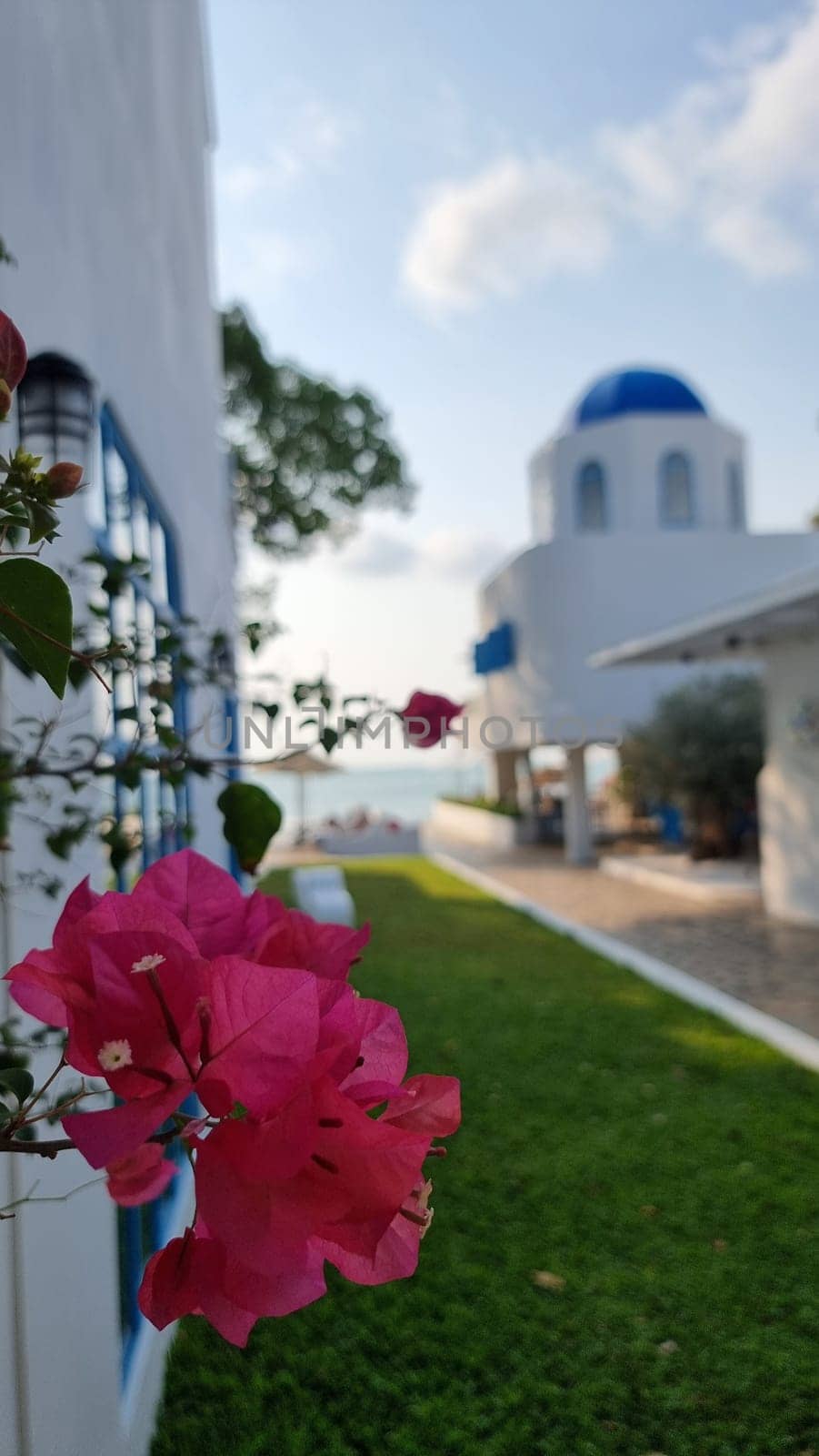 A white building with a blue roof stands gracefully in the background, while a delicate pink flower blooms beautifully in the foreground by fokkebok