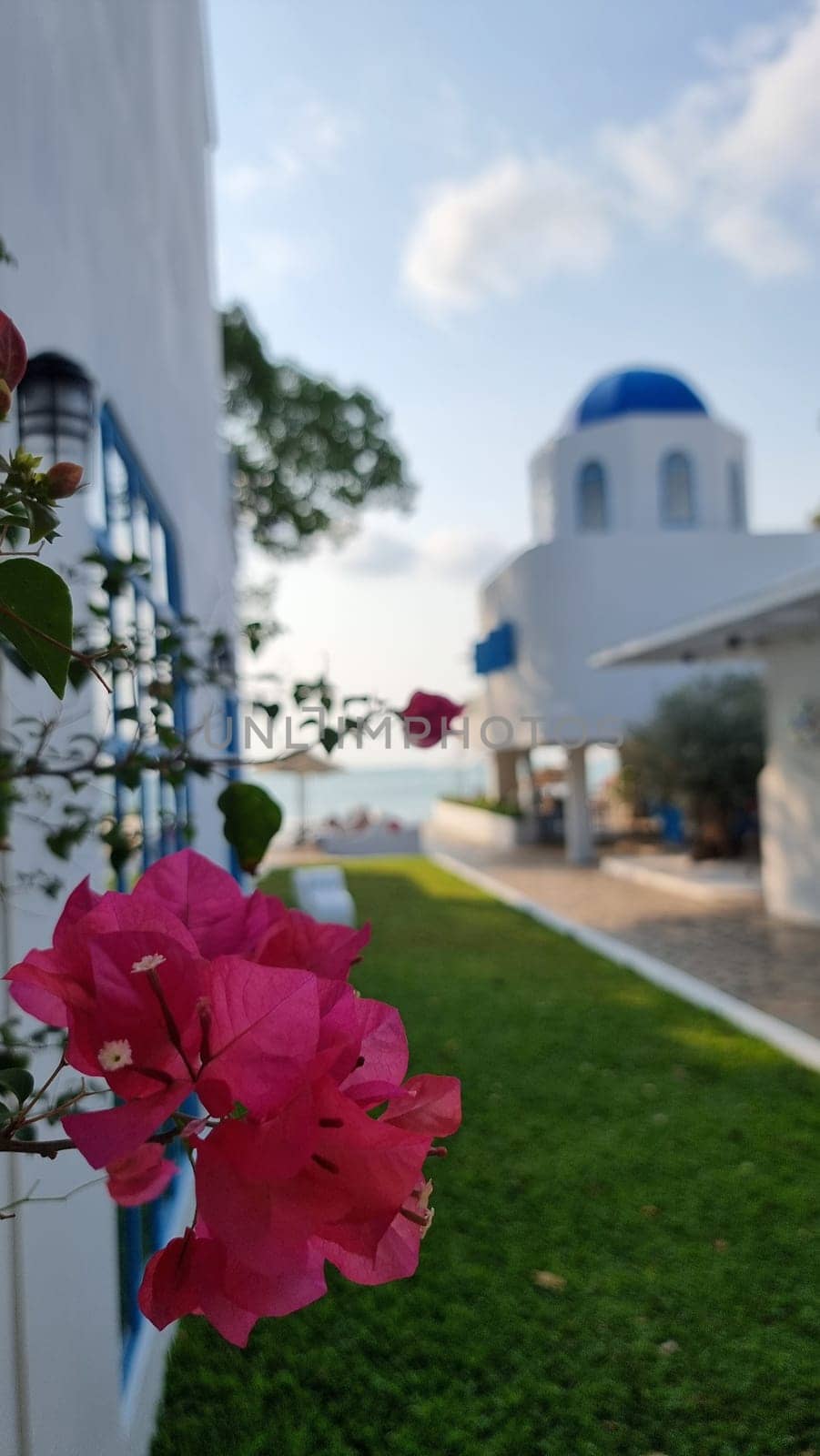 Bangsaray Pattaya Thailand 28 February 2024, A white building with a blue roof stands gracefully in the background, while a delicate pink flower blooms beautifully in the foreground.