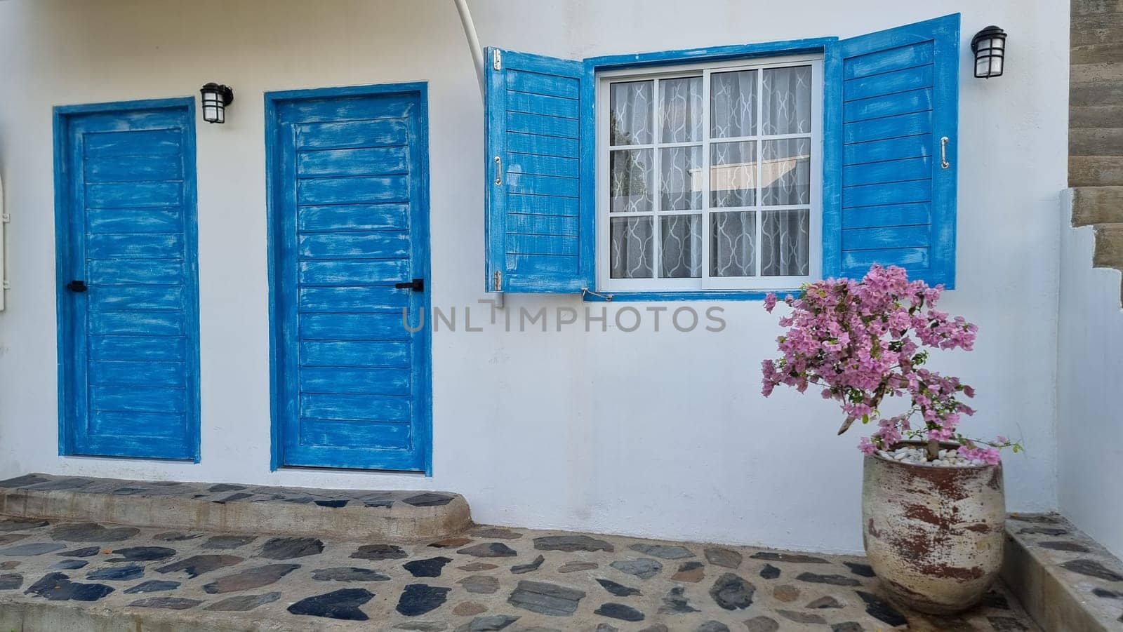 A charming white house with vibrant blue shutters sits gracefully, accented by a flourishing potted plant by fokkebok