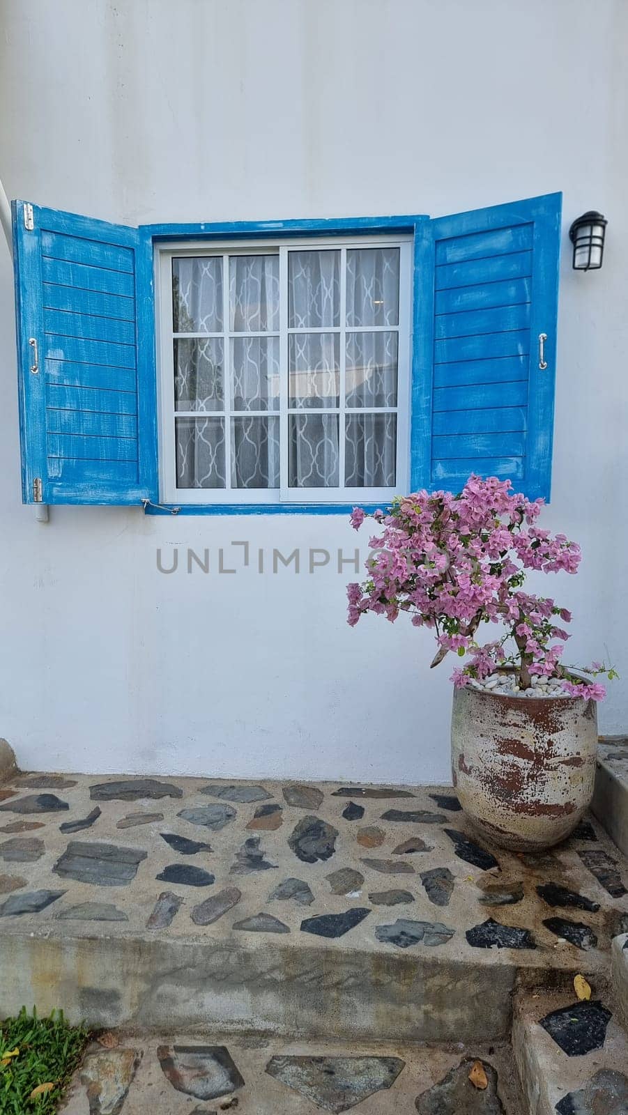 A vibrant potted plant thrives next to a window adorned with blue shutters, creating a peaceful and picturesque scene by fokkebok