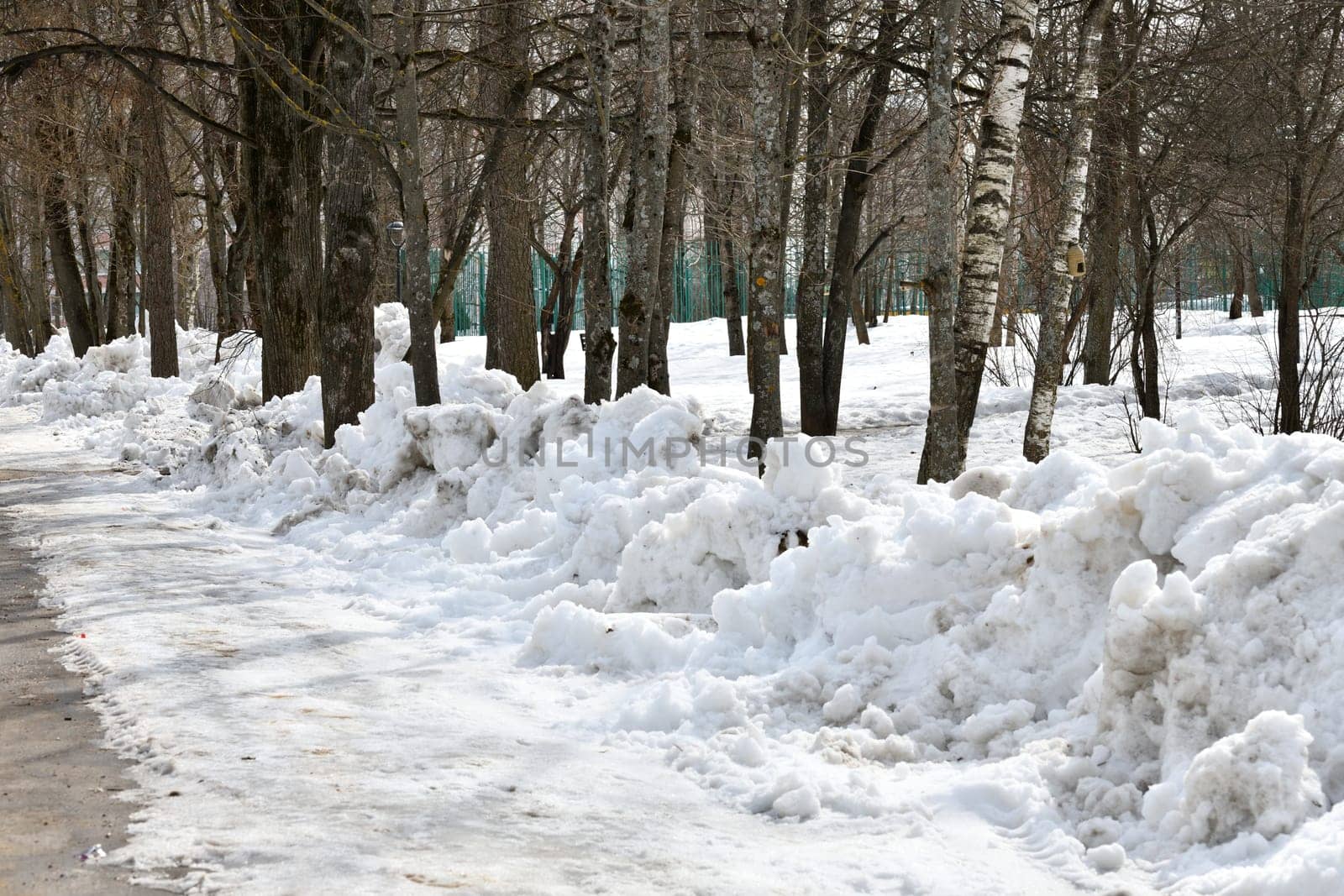 Drifts of dirty snow in park in early spring