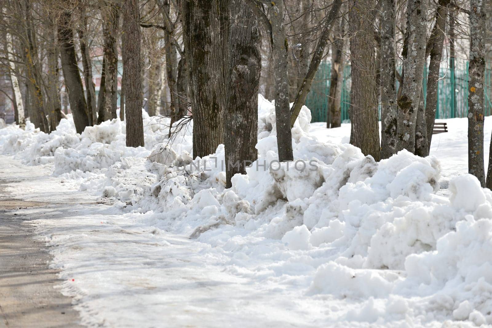 Drifts of dirty snow in park in early spring