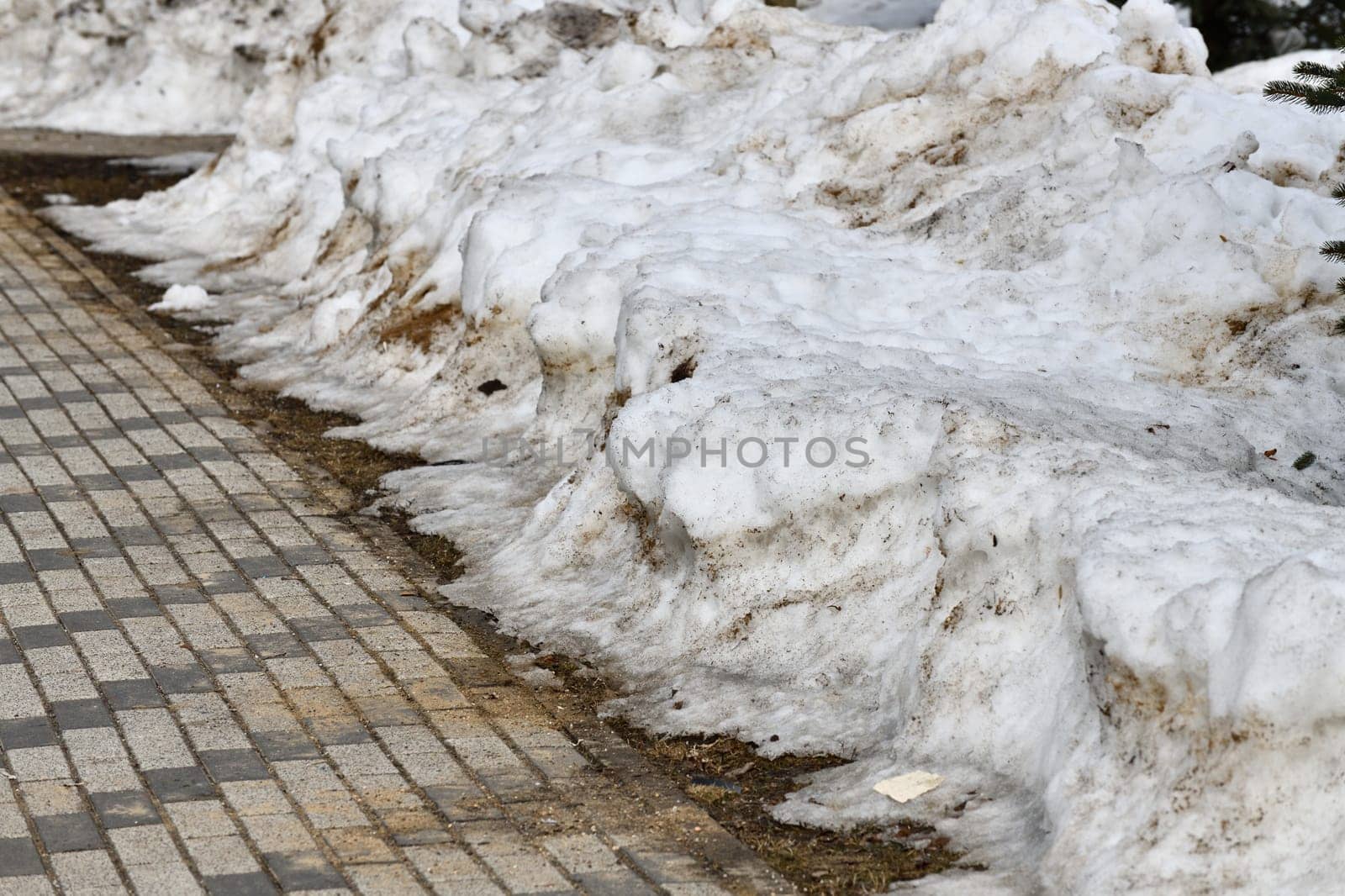 Drifts of dirty snow in a park in early spring by olgavolodina