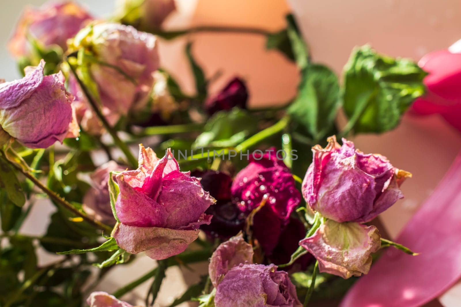 Concept shot of the background theme, wrapping paper, dried roses other flowers and other arrangements