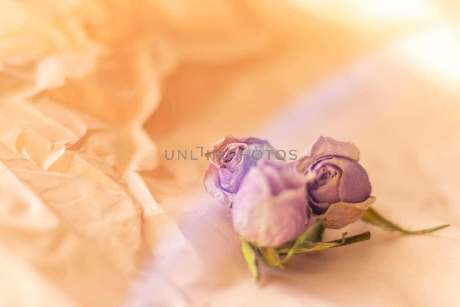 Concept shot of the background theme, wrapping paper, dried roses other flowers and other arrangements.