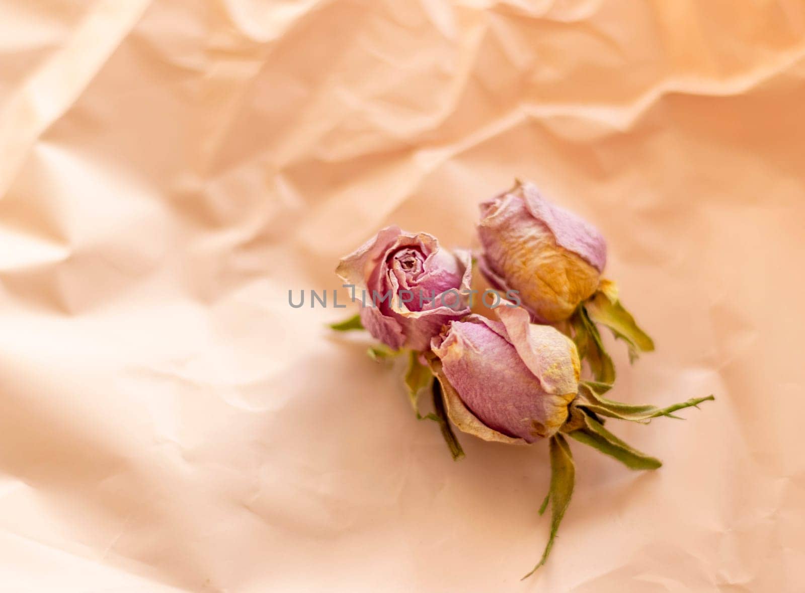 Concept shot of the background theme, wrapping paper, dried roses other flowers and other arrangements.