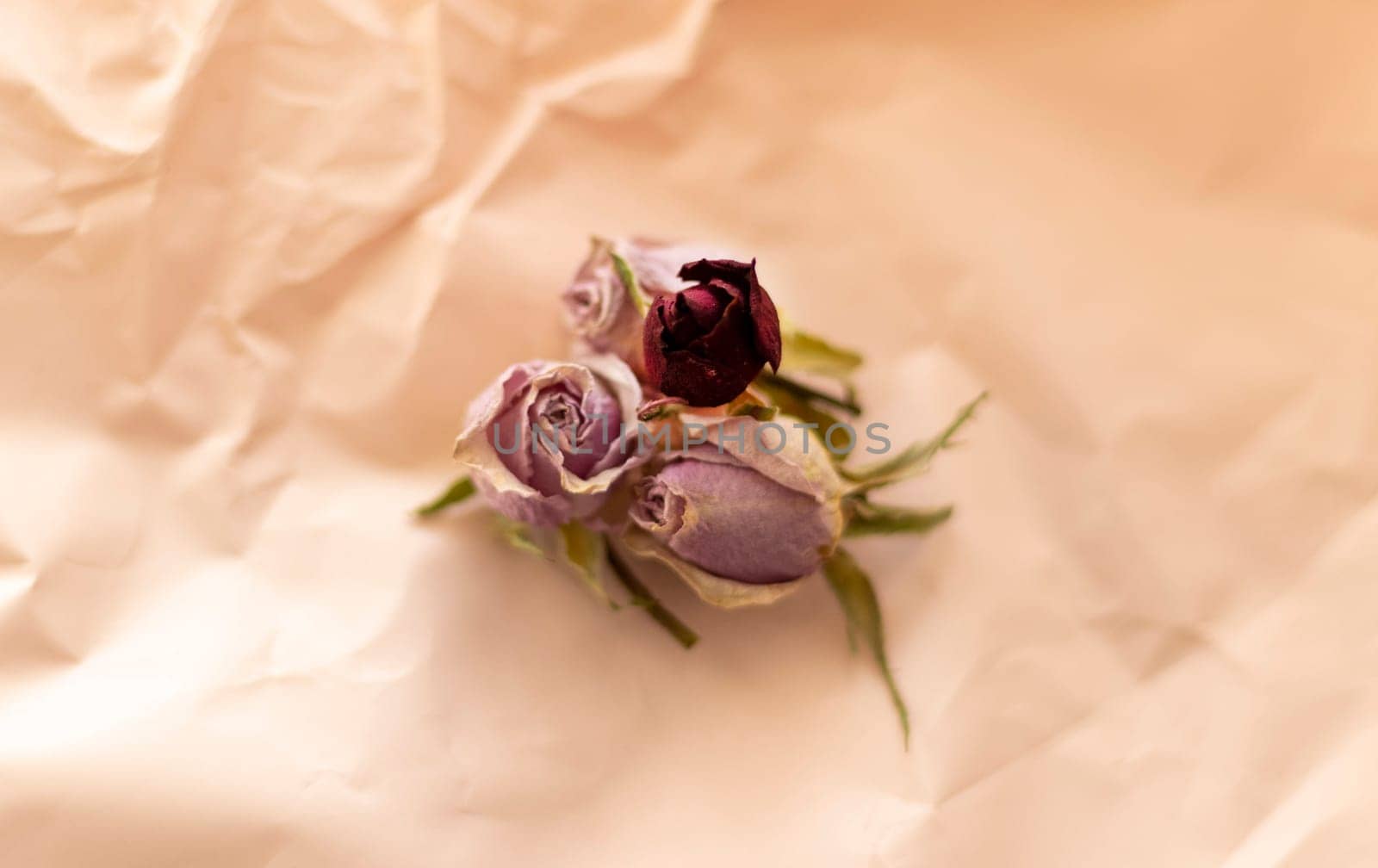 Concept shot of the background theme, wrapping paper, dried roses other flowers and other arrangements.