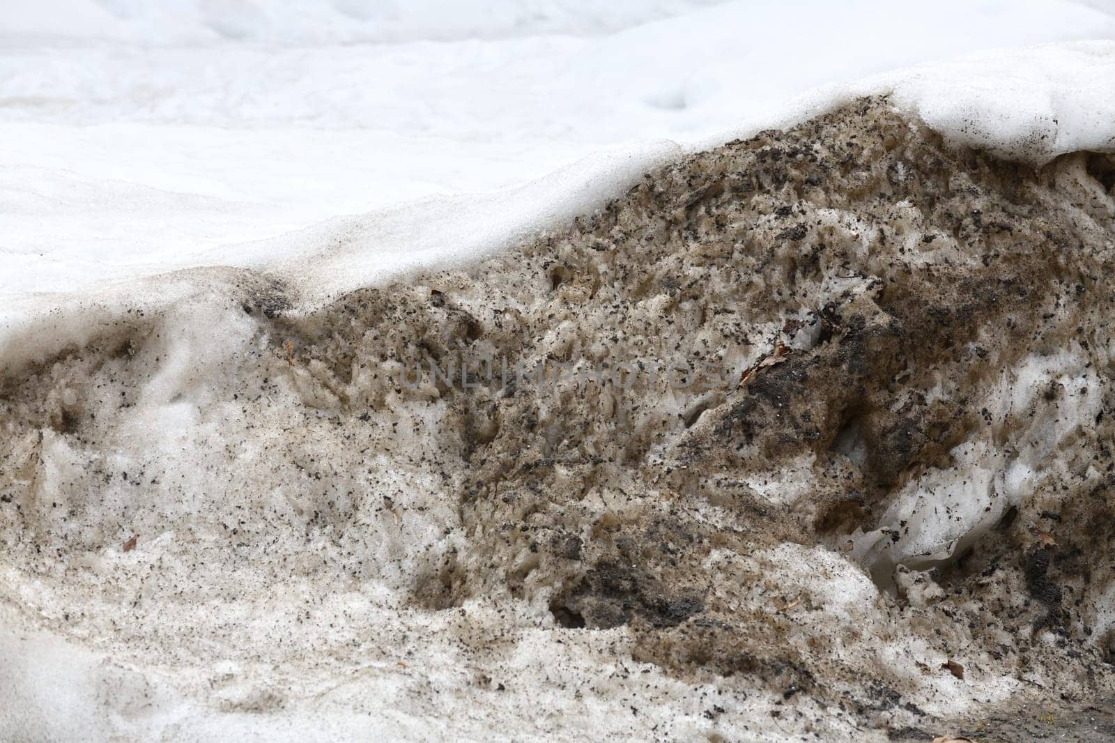 Drifts of dirty snow in early spring