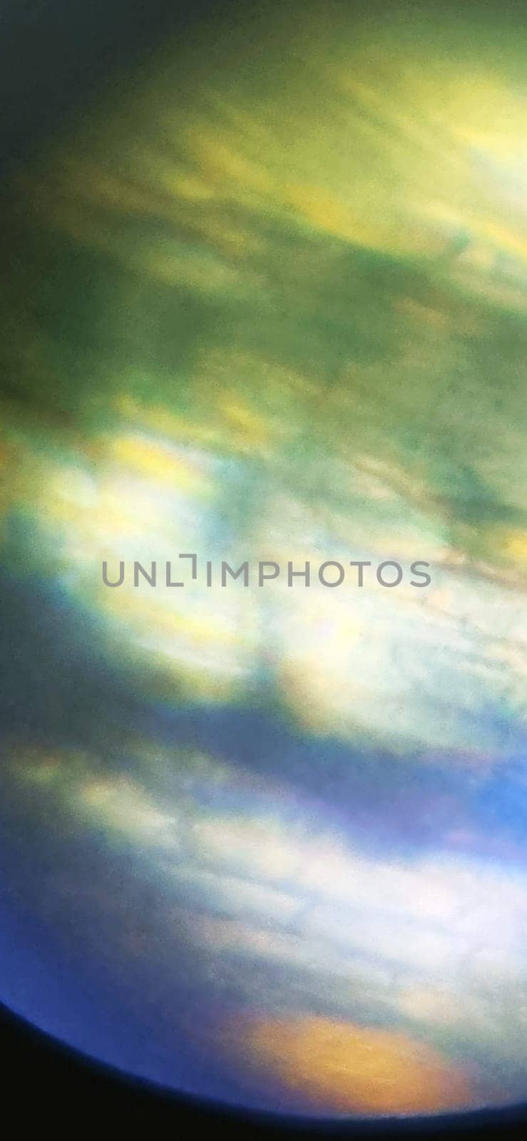 Close up shot of the cells under microscope