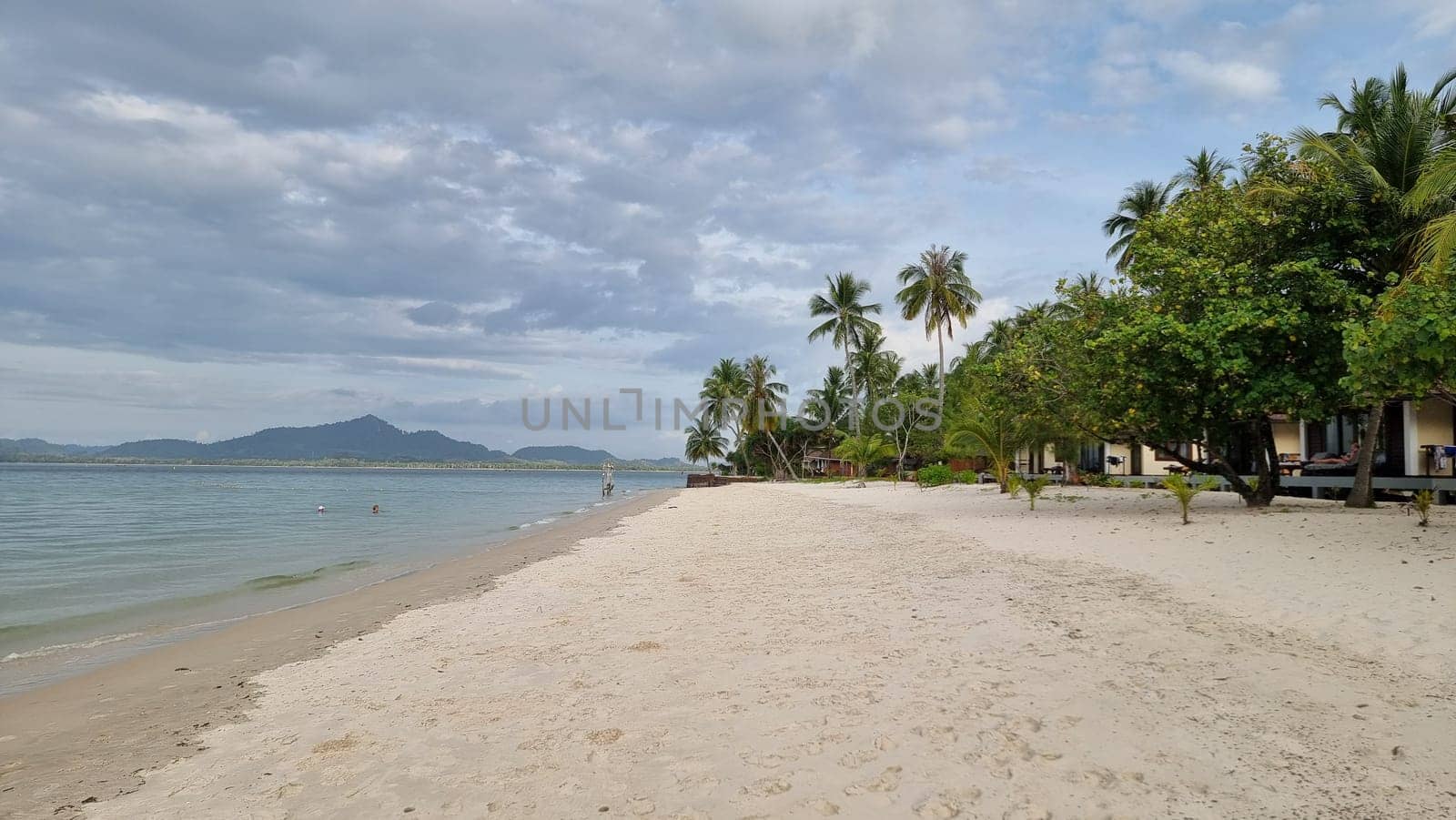 A tranquil sandy beach lined with swaying palm trees and picturesque houses along the shore, creating a peaceful and idyllic coastal scene by fokkebok