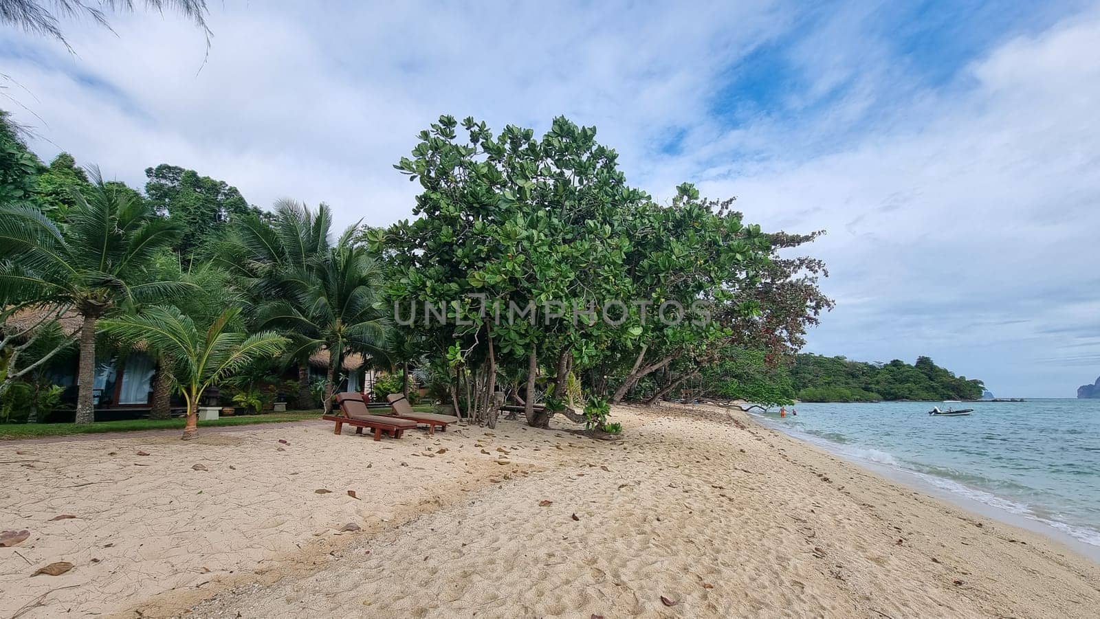 A tranquil sandy beach lined with lush trees and a charming house in the background under clear blue skies by fokkebok