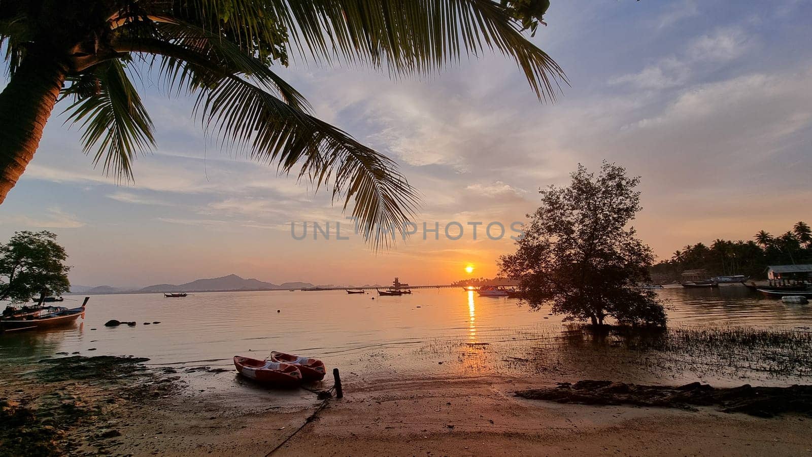 A solitary boat rests peacefully on a sandy beach, with a majestic palm tree swaying in the background under a clear blue sky. Koh Mook Thailand