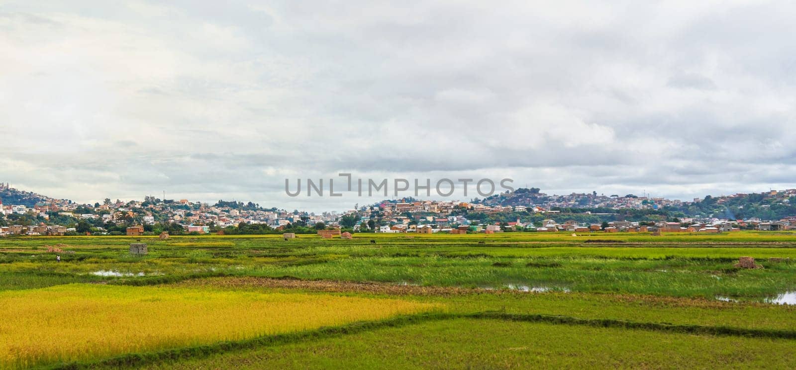 Typical landscape of Madagascar on overcast cloudy day - people working at wet rice fields in foreground, houses on small hills of Antananarivo suburb