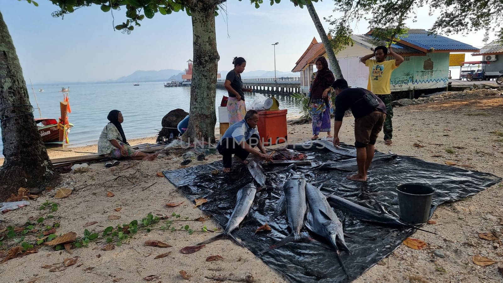 Koh Mook Thailand 20 January 2024, A tribe of people stand on a sandy beach selling big fish, united in their shared awe and appreciation of the stunning natural beauty before them.