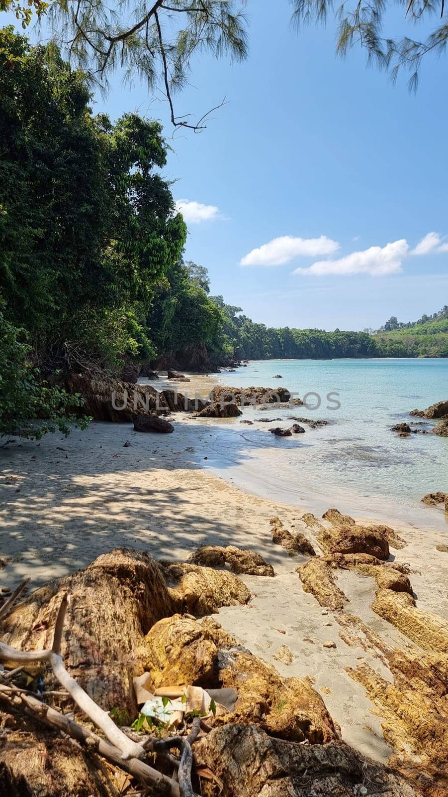 Serene sandy beach lined with lush trees, with calm waters in the background under a clear sky by fokkebok