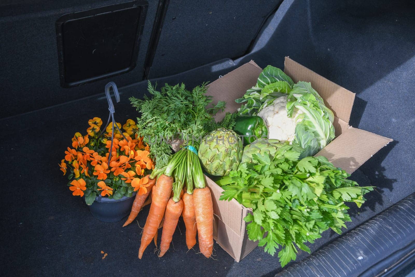 cardboard box with an assortment of fresh vegetables stands in the trunk of a car, natural products and healthy eating, the concept of cooking at home, high quality photo