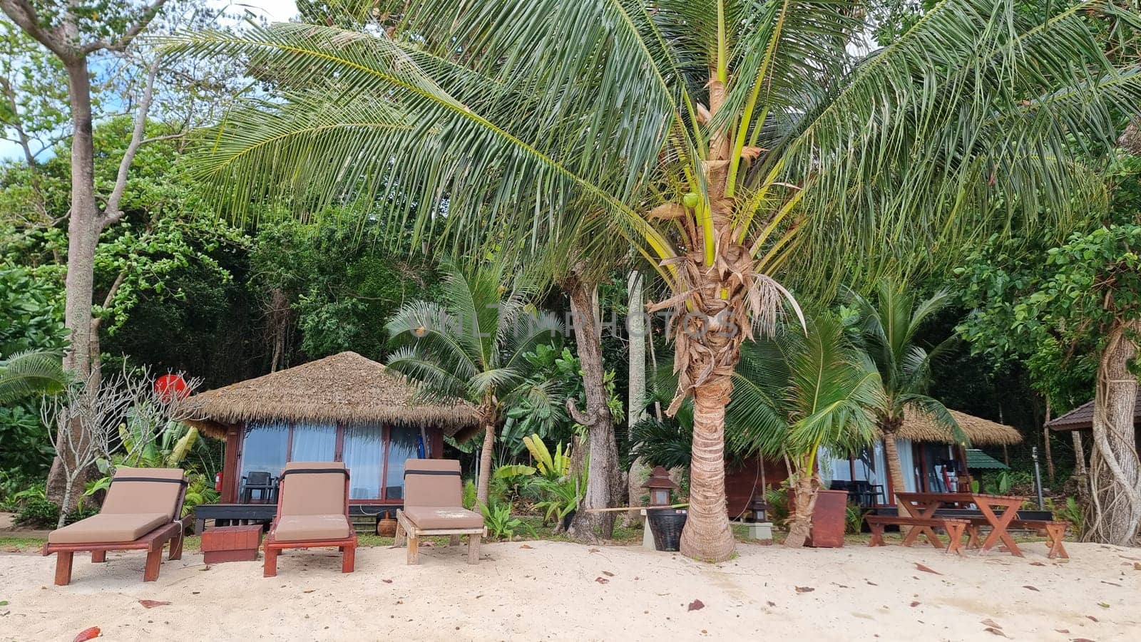 A sandy beach with lounge chairs scattered under swaying palm trees, offering a serene escape for relaxation and enjoying the sun and sound of the ocean waves by fokkebok