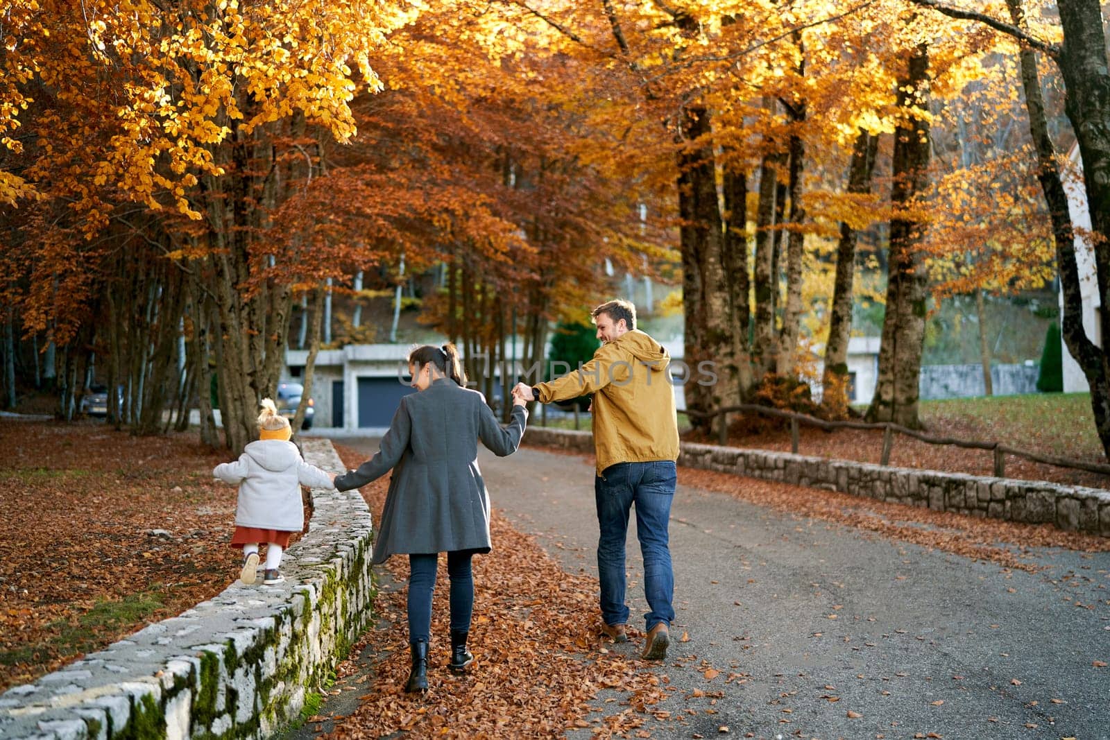 Dad holds the hand of mom leading a little girl by the hand along the fence in the autumn park. Back view. High quality photo