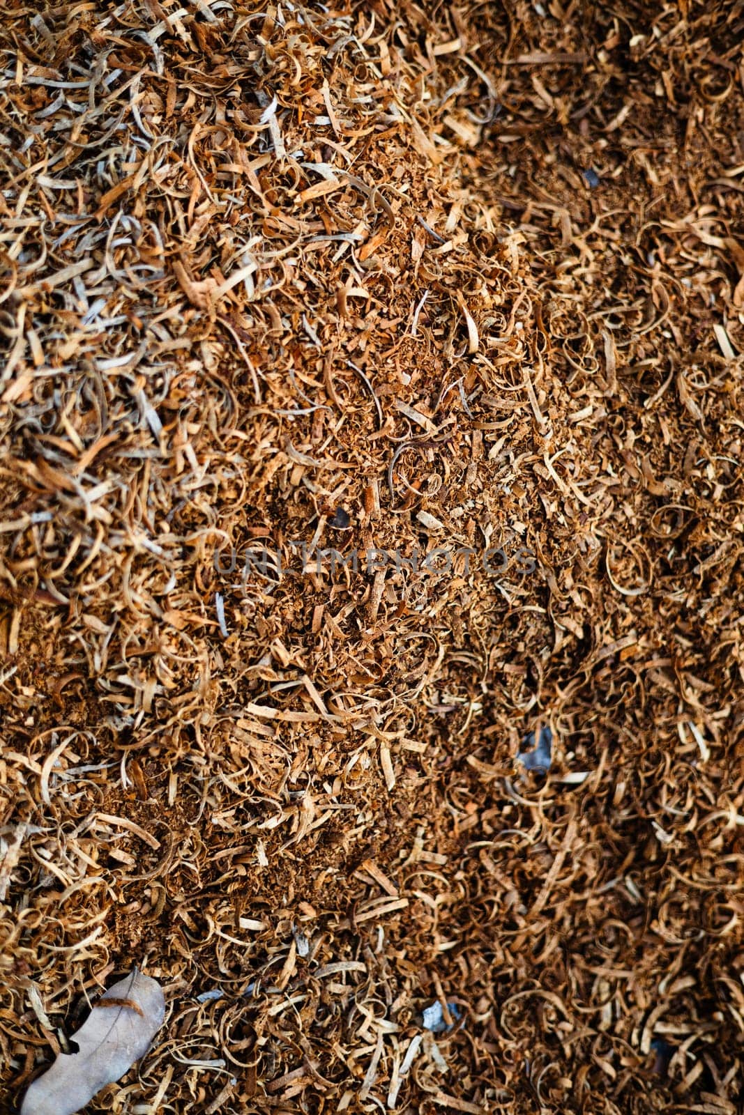 Sawdust And Shavings by urzine