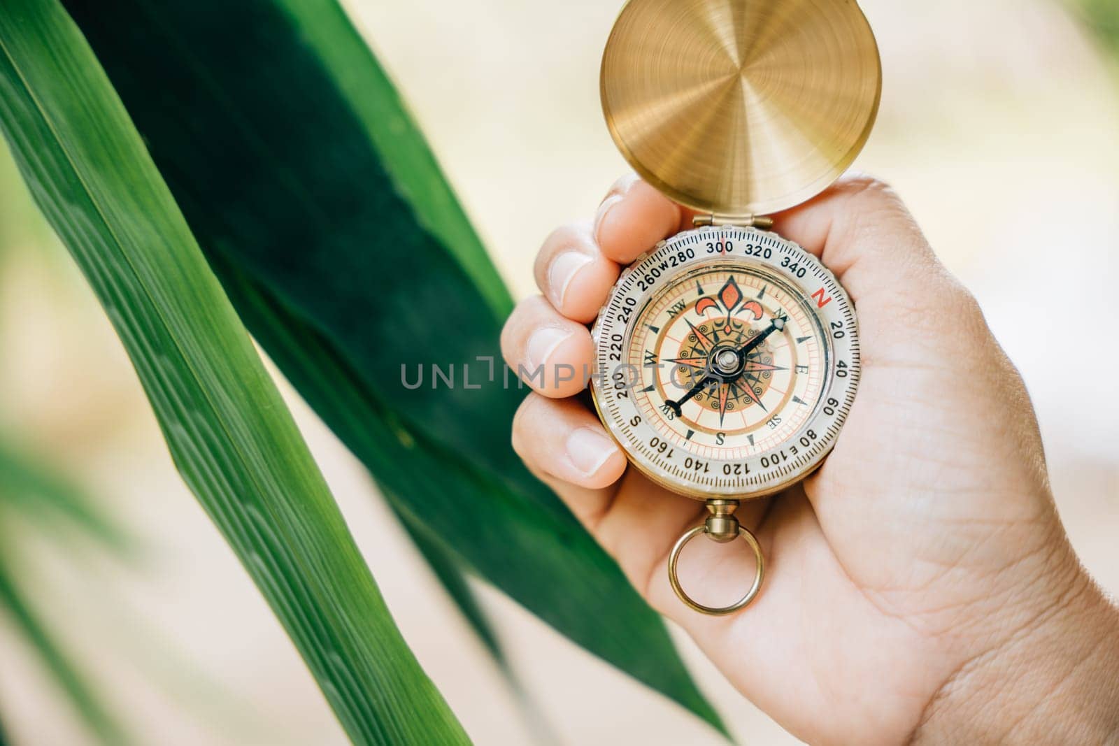 A close-up of a hand clutching a compass in the heart of a green forest. This image leaves space for text and signifies travel lifestyle and the strategic management of a thriving business. by Sorapop