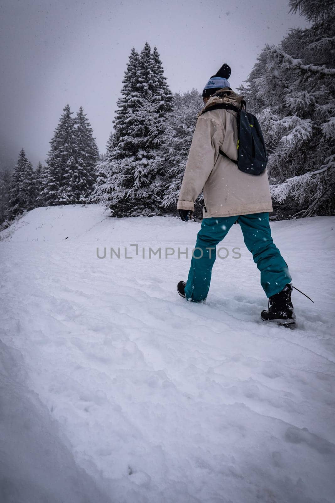 Winter sport activity, Woman hiker hiking with backpack on snow trail forest in Pyrenees, France by FreeProd
