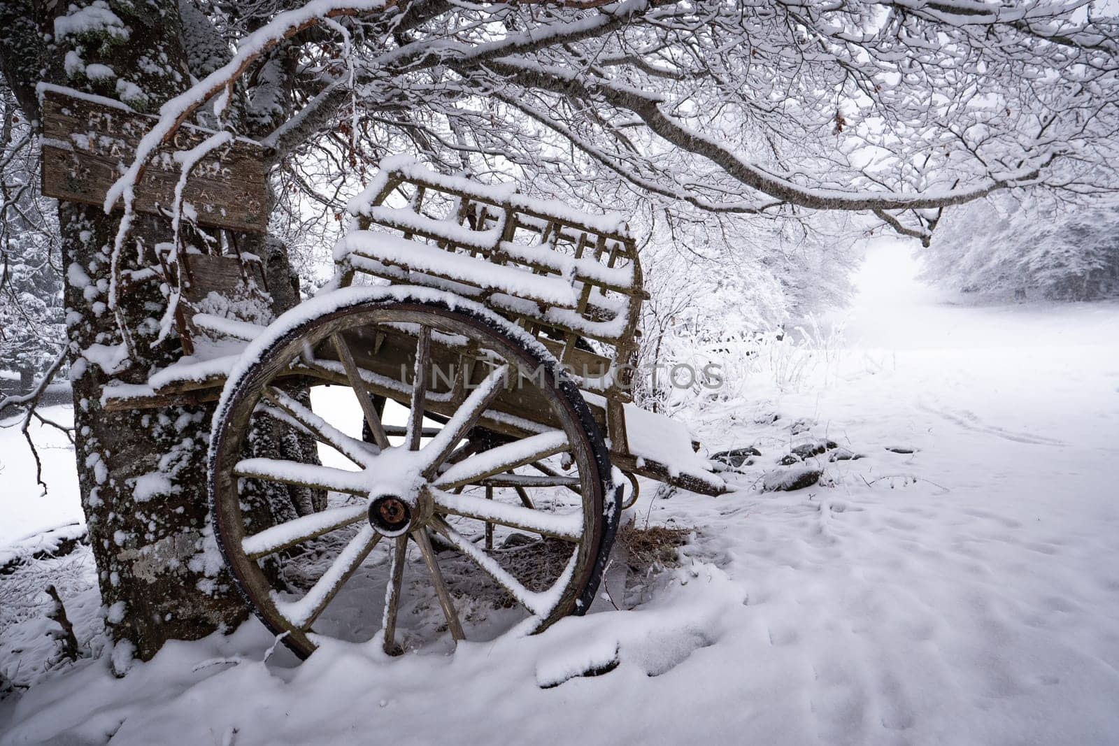 Vintage wooden carriage under snow in forest by FreeProd