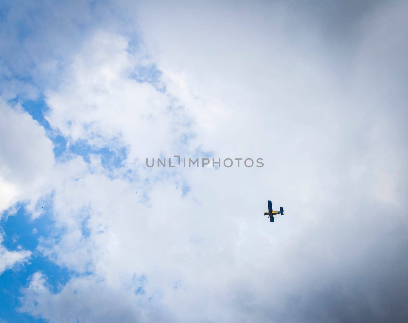 Shot of an old biplane and some birds in the sky