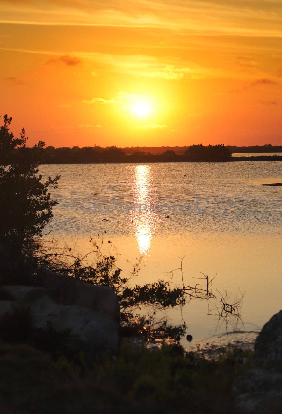 Shot of the beautiful sunset by the lake