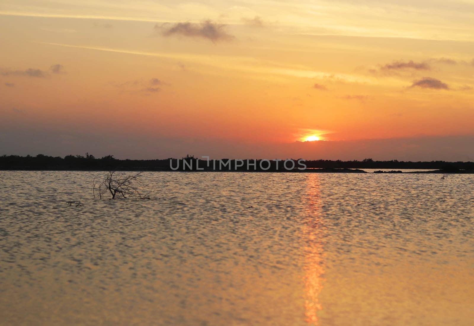 Shot of the beautiful sunset by the lake