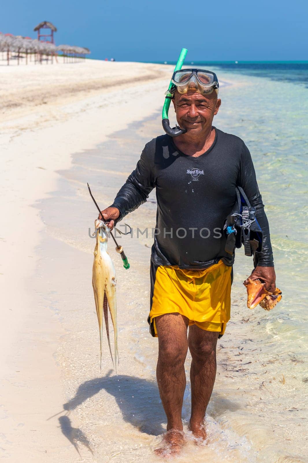 03.03.2024 - Cayo Coco Island, Cuba - Local diver with caught octopus and seashells