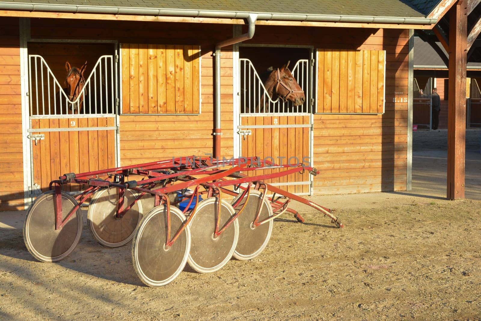 Brown Horse with sulkys in the stable.