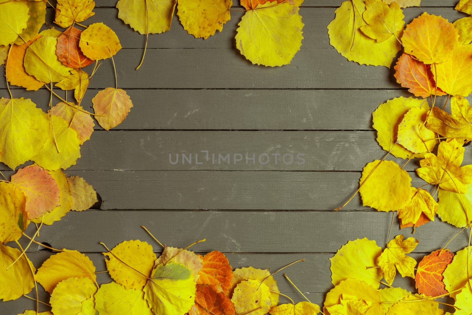 Colorful autumn leaves over wood background with copy space by Fabrikasimf