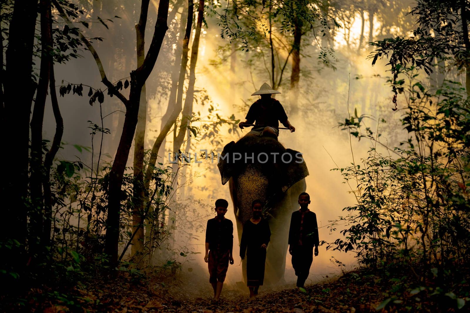 Silhouette of boy and girl walk in front of elephant and mahout with sunlight shine through tree in forest in concept of good relationship between human and wildlife animal. by nrradmin
