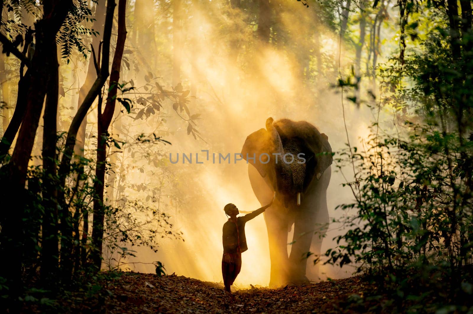 Silhouette of little boy stand and touch leg of elephant with sunlight shine through tree in forest in concept of good relationship between human and wildlife animal. by nrradmin