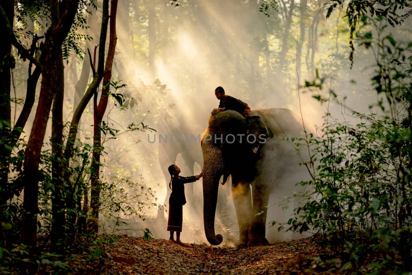 Silhouette of little girl touch elephant that has boy sit on its back in the forest with beautiful beam light in concept of relationship between animal and human in daily life. by nrradmin
