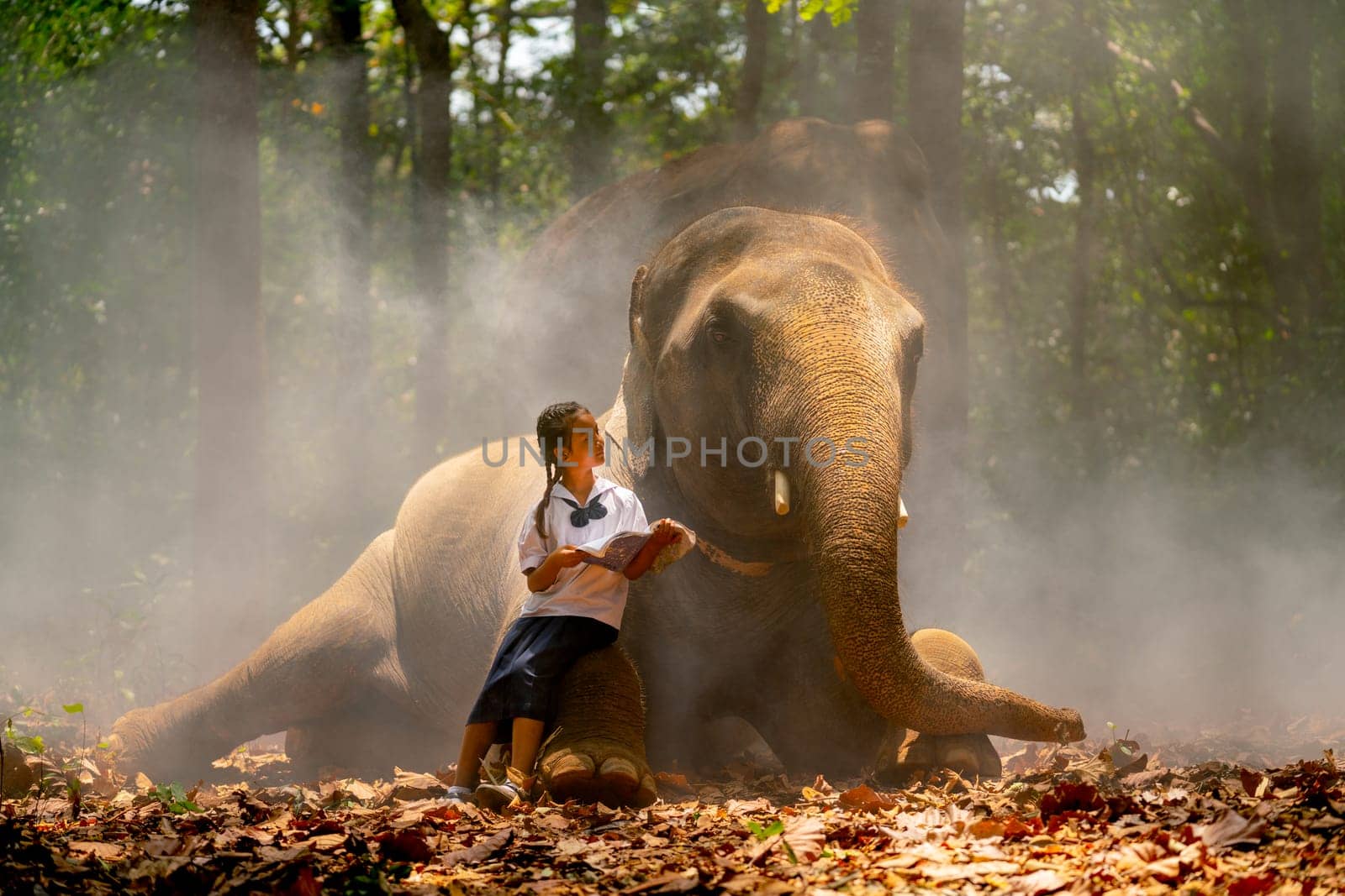 Asian girl hold book and sit on leg of elephant and also look at elephant in concept of good relation between human and animal.