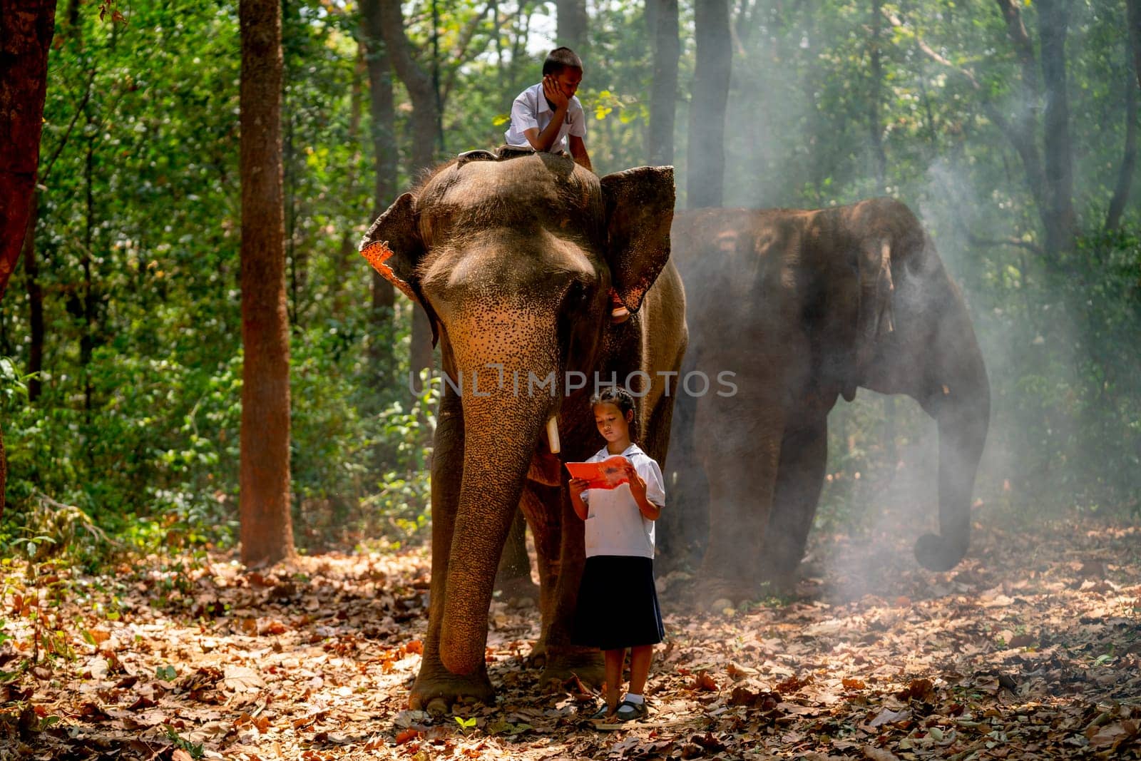Asian girl with student uniform read book and stand near elephant with one boy stay on its head or back and they stay in forest in concept of relationship between human and wildlife. by nrradmin