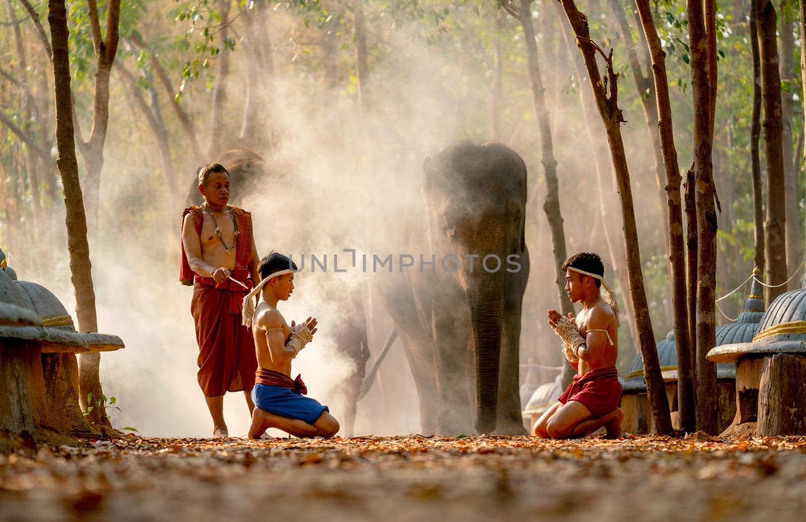 Two Asian men sit and action with traditional martial art fight position before start of fighting and teacher stand beside with elephant on background. by nrradmin