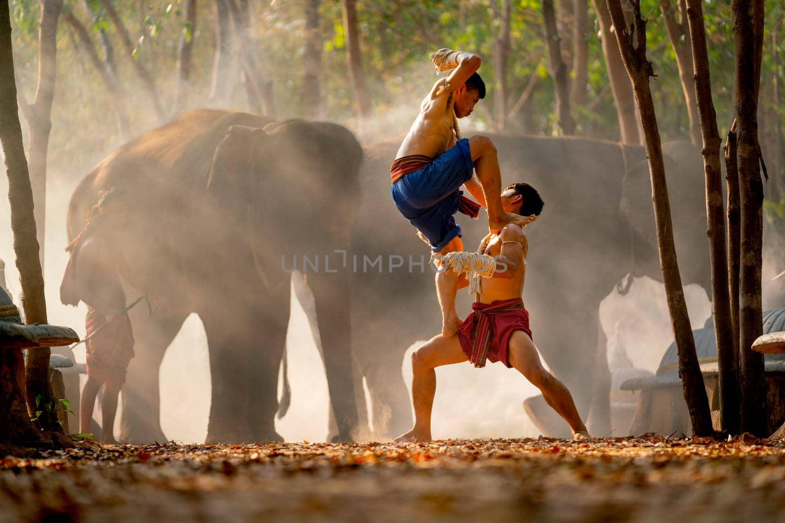 Two Asian men fight by traditional martial arts with one man stand on thigh of other man and action look like elbow beat to opponent and group of elephants on background. by nrradmin