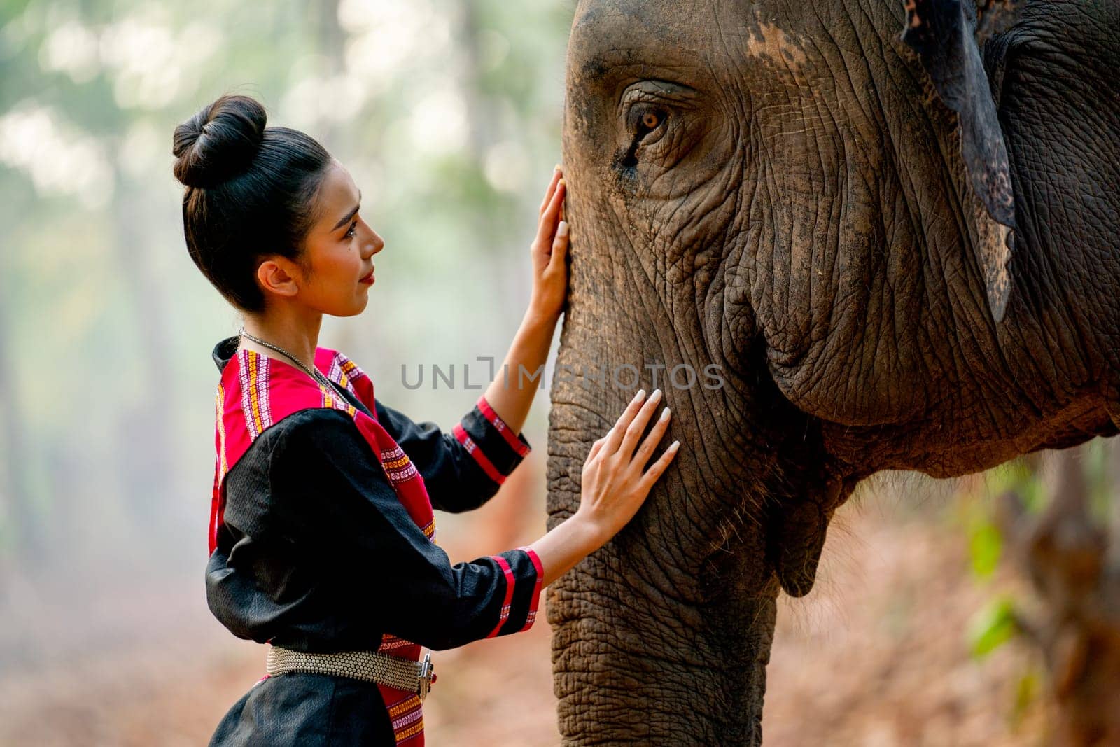 Beautiful Asian woman look and touch elephant head with love and care in concept of relationship between wild animal and human for lifestyle. by nrradmin