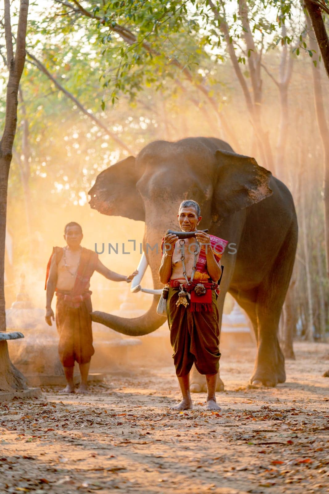 Vertical image of mahout teacher old man hold part of ivory and stand in front of elephant and other old man with sunlight and mist. by nrradmin