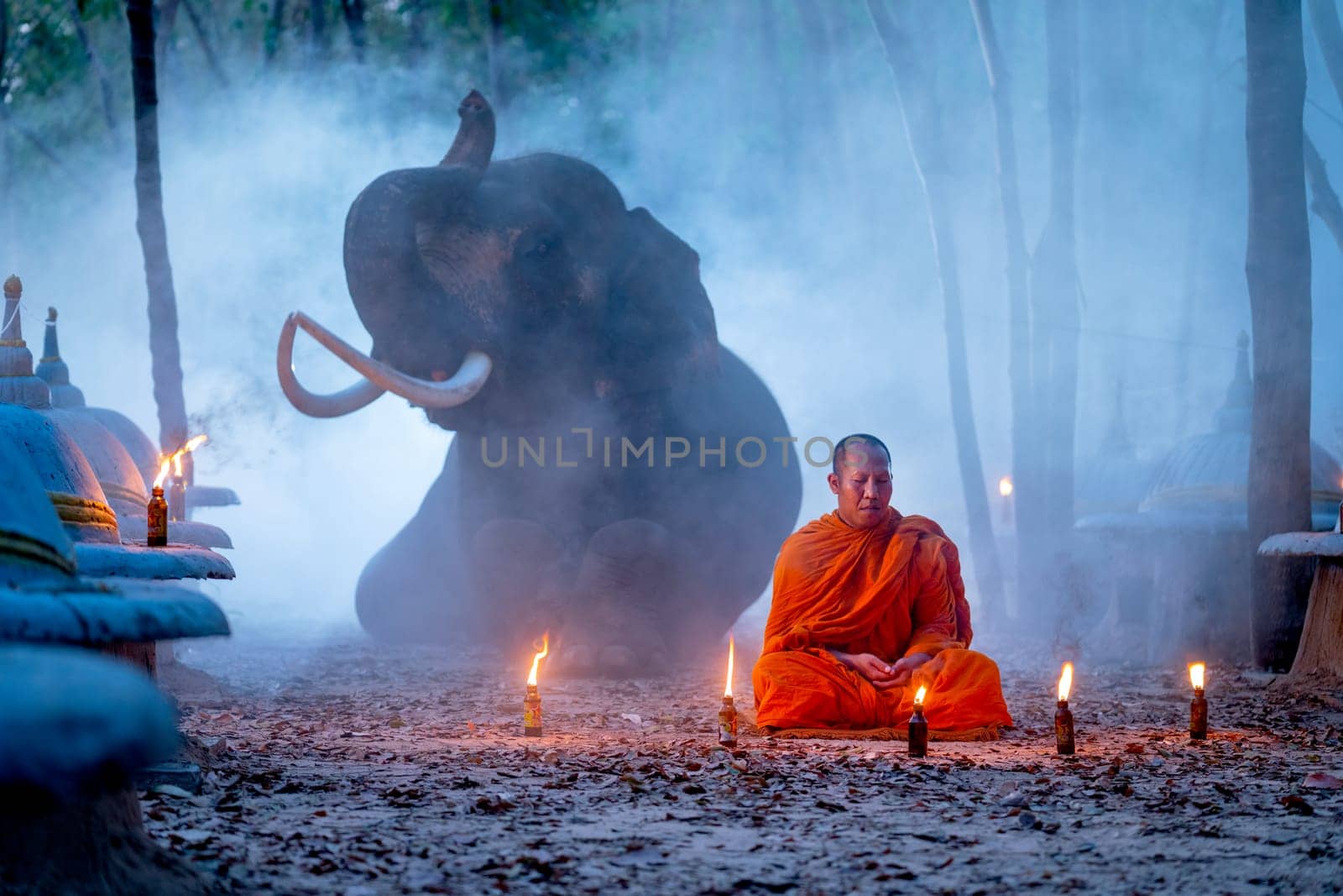 One monk sit and stay in meditate position in front of elephant lie down on background at night in concept of lifestyle relate between human and wildlife. by nrradmin