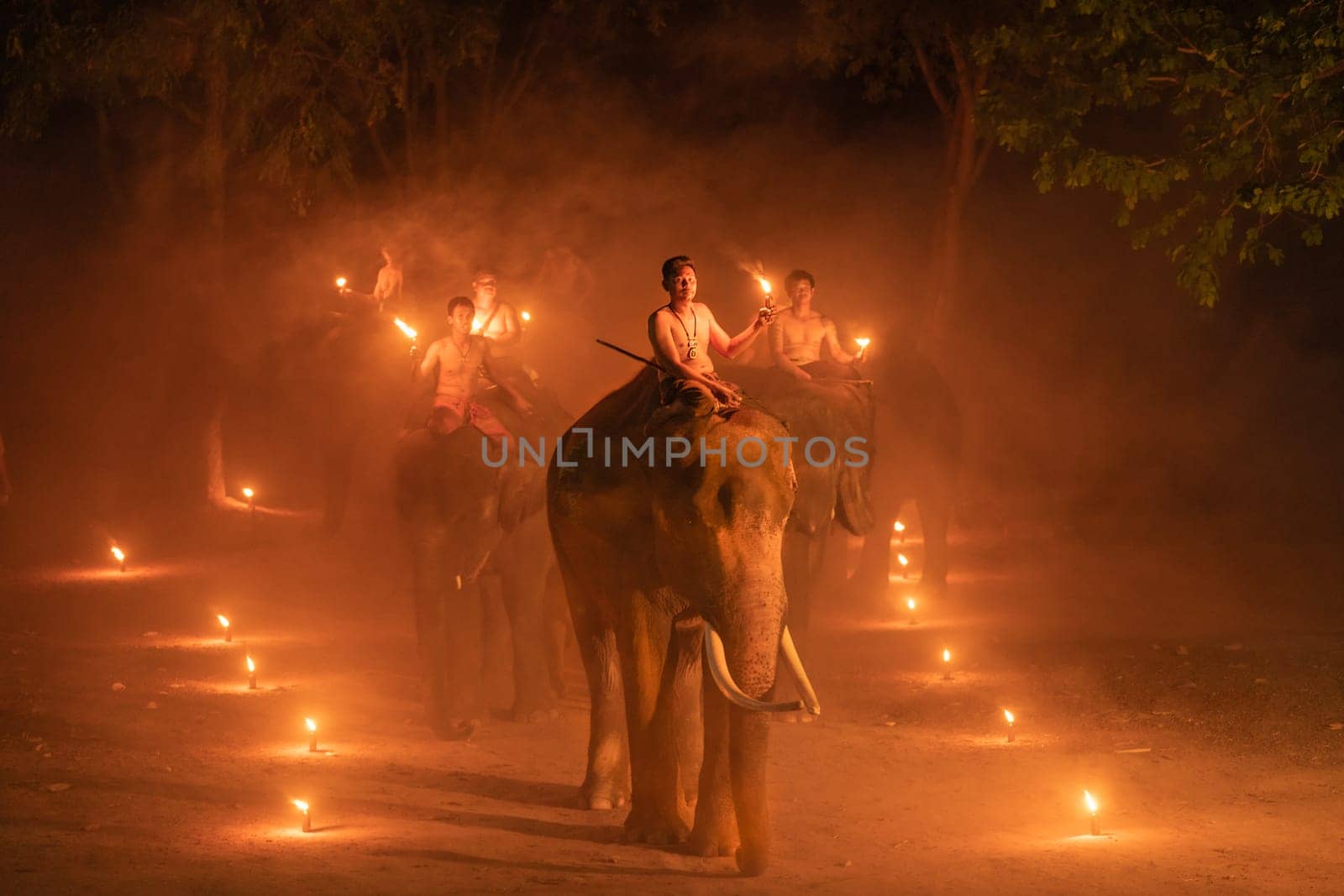 Group of mahout with elephants hold lamp and walk along the way with the row of fire lamp at night in concept of relationship between wildlife animal and people.