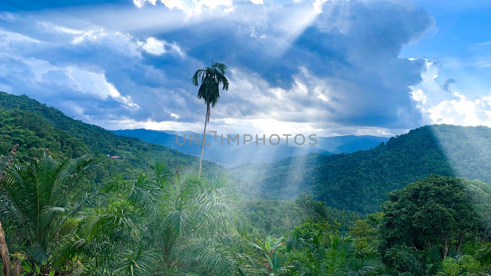 Beautiful nature view of mountains with trees and blue sky and shining light. Nature beauty concept.