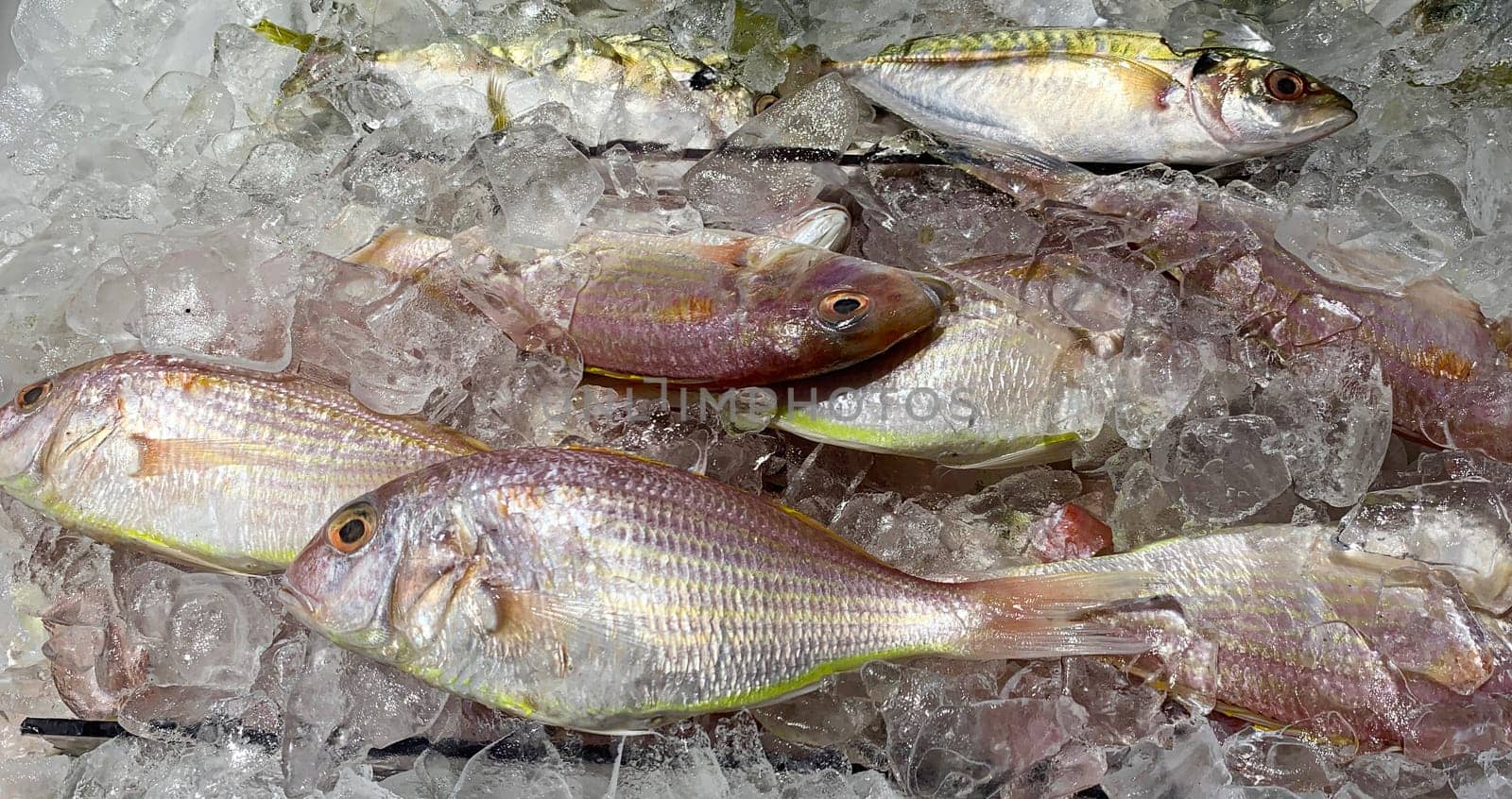 Wet market wonders with fish covered with ice on display. Wet market concept