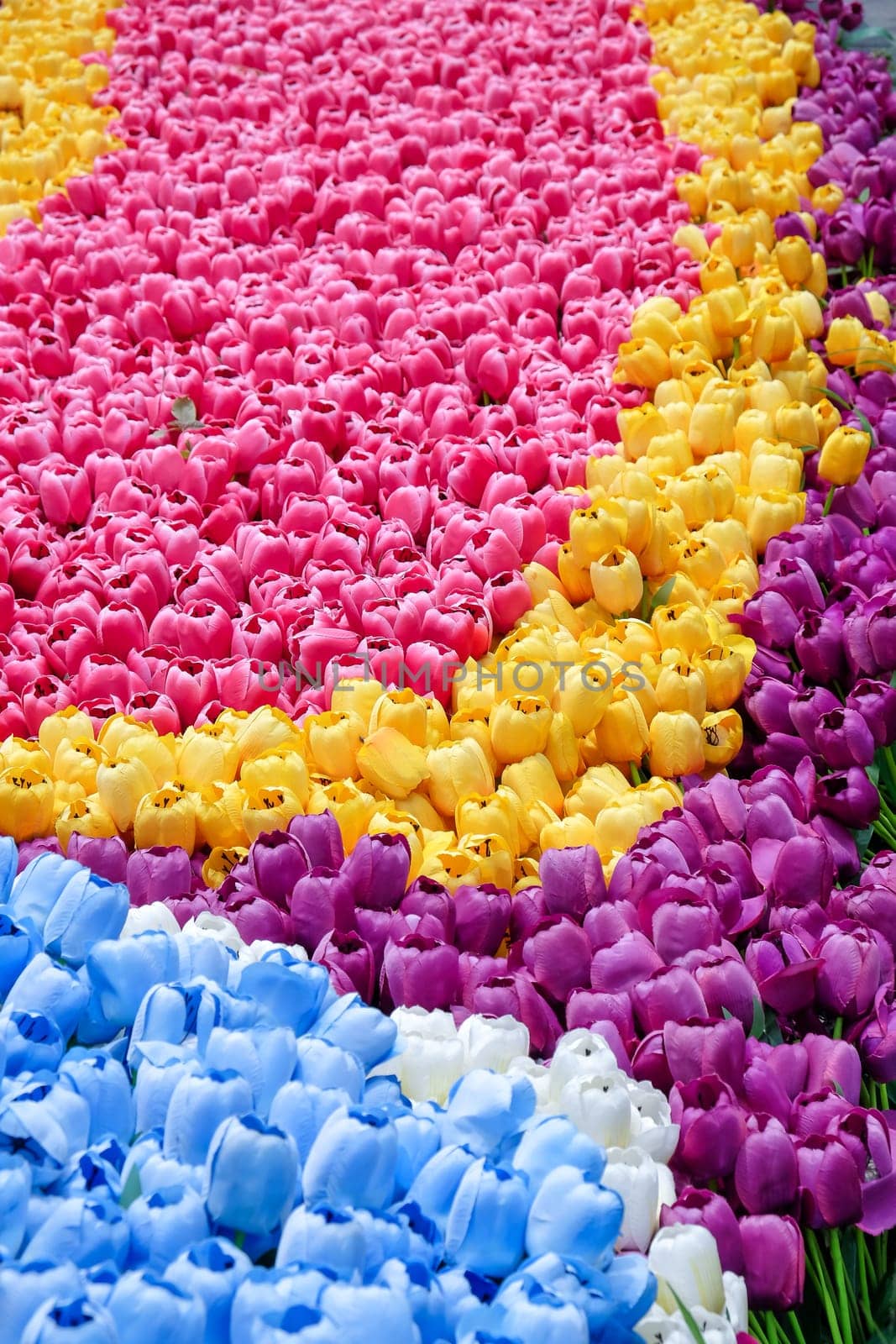 imitation flower, Colorful artificial tulip flowers in the flowerbed.
