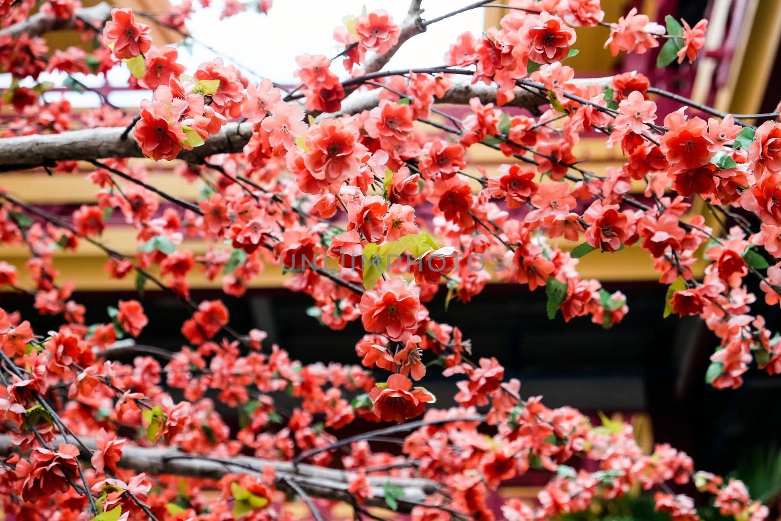 artificial Japanese cherry blossoms in full bloom by ponsulak
