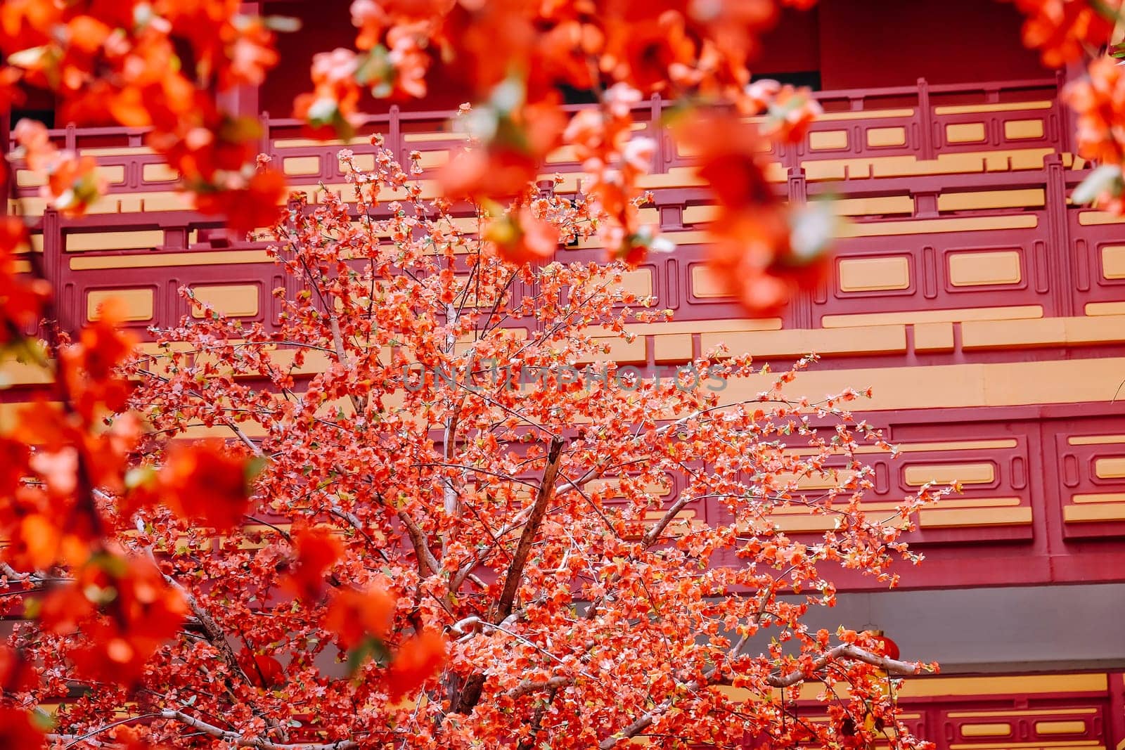 artificial Japanese cherry blossoms in full bloom by ponsulak
