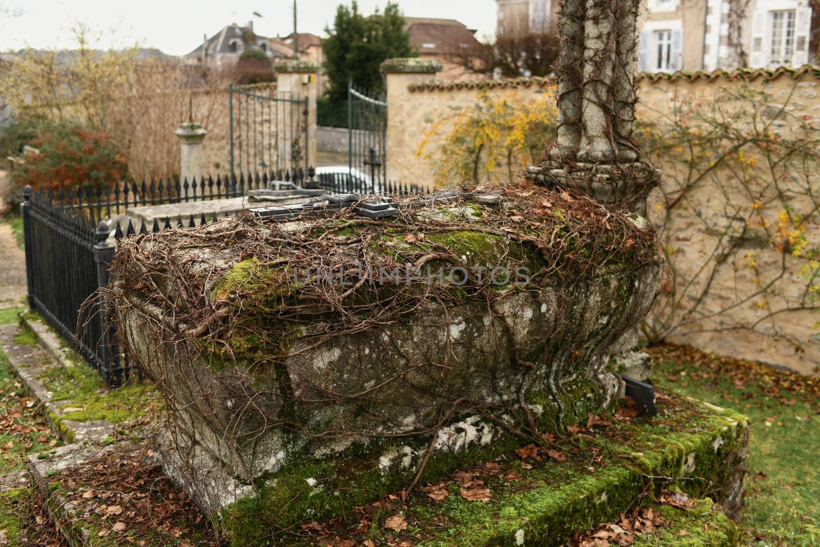 Abandoned grave with a roots in a cemetery by Godi