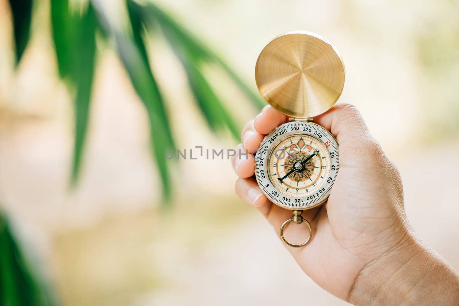 In the midst of nature a woman holds a compass in a close-up shot during her forest hike. The compass signifies guidance and exploration.